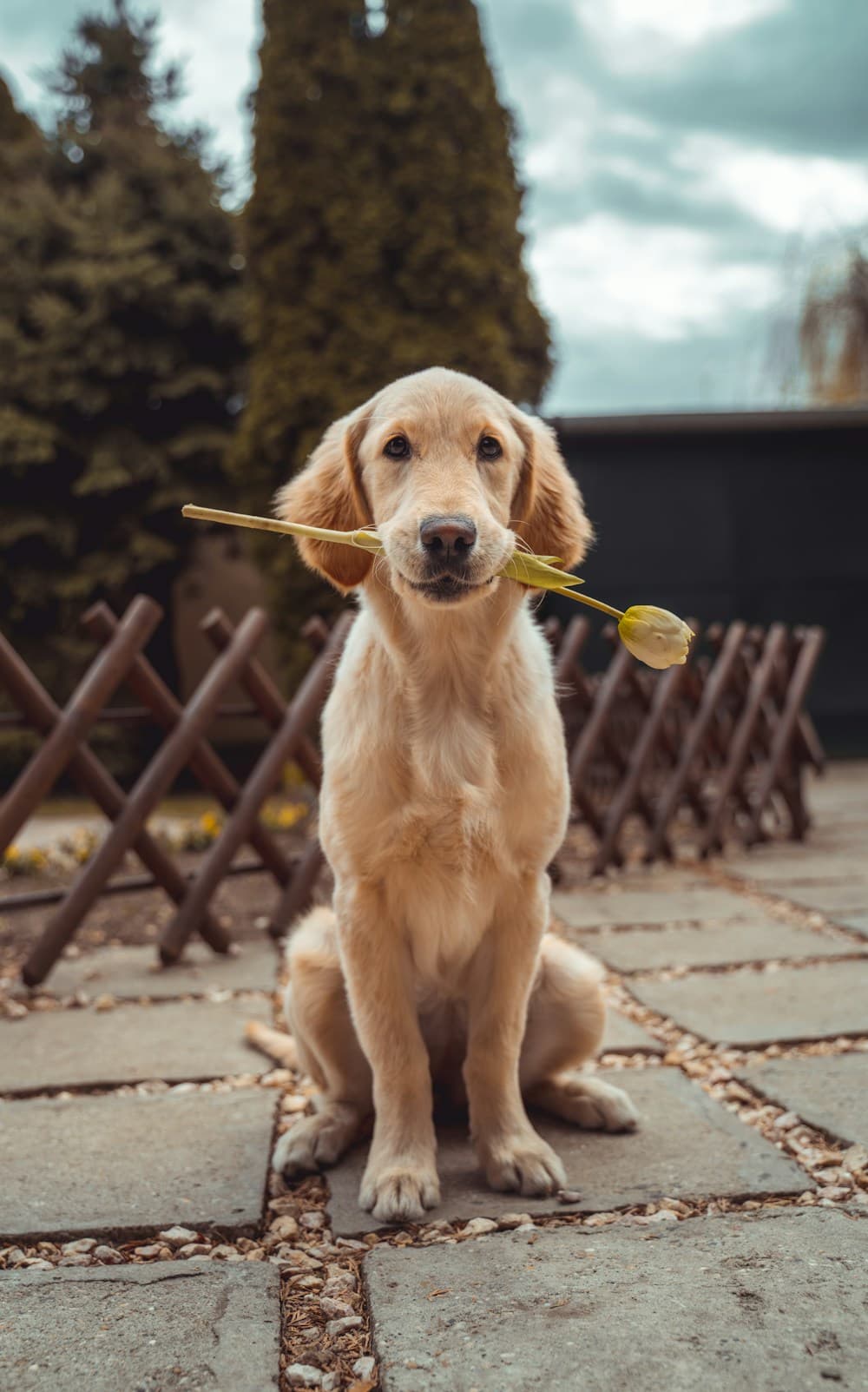 A memory with Milo