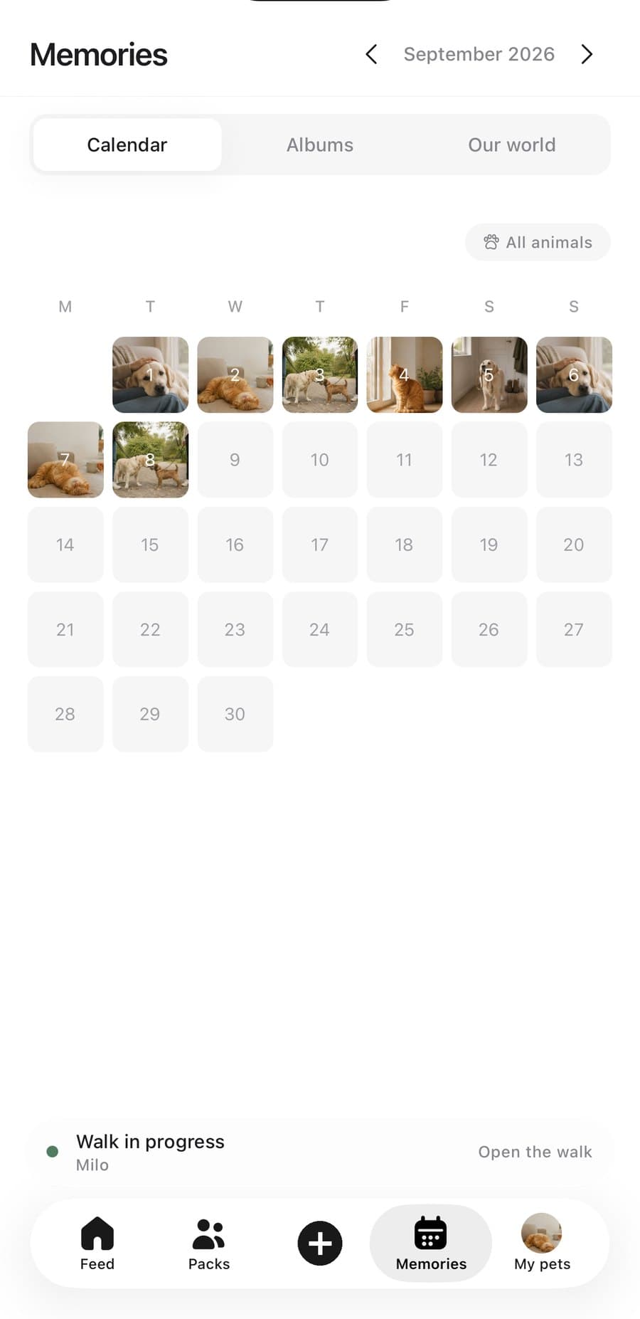 The Pawlilo memories calendar with photos on each day