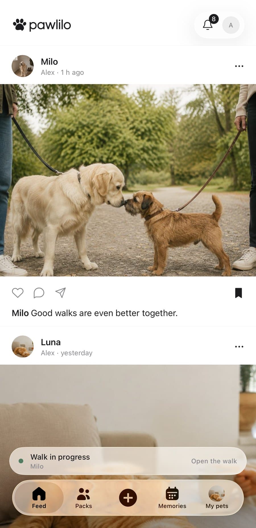 The Pawlilo feed with a photo of Milo greeting another dog