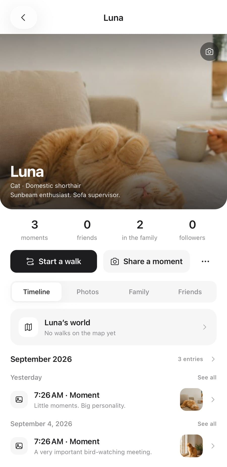 Luna the cat’s profile in Pawlilo