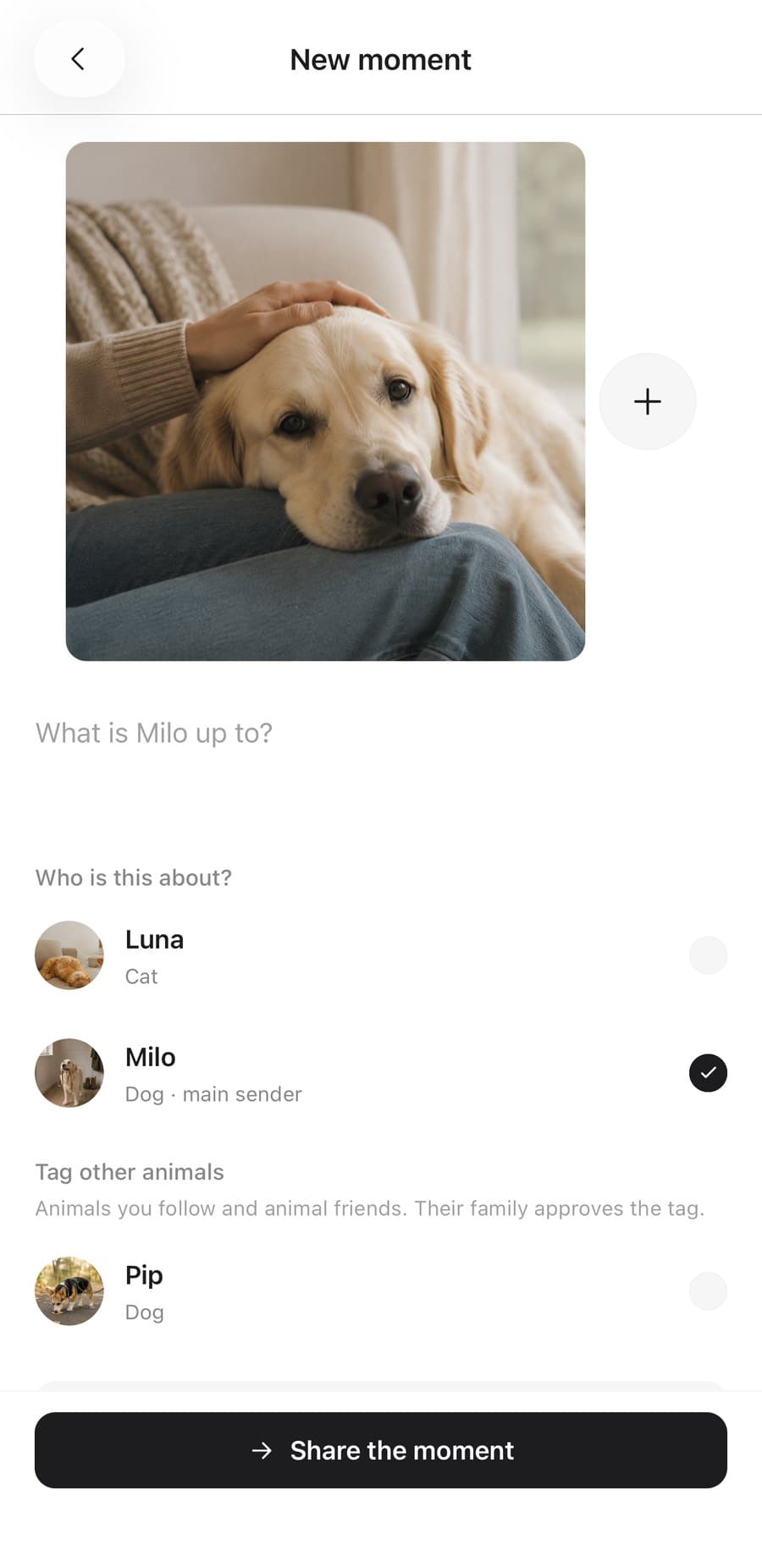 A new moment in Pawlilo with a photo of Milo and who it’s about